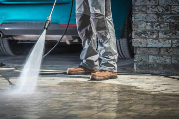 Best House Exterior Washing  in Cheval, FL
