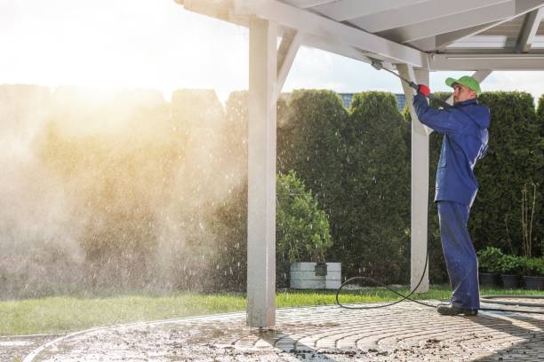 Best Fence Cleaning  in Cheval, FL